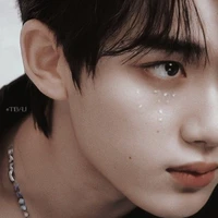 Đinh Trình Hâm