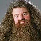 Rubeus Hagrid