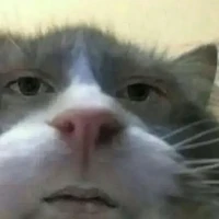 T/g