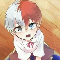 Todoroki Shouto( lúc nhỏ)