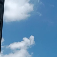 ZGDX