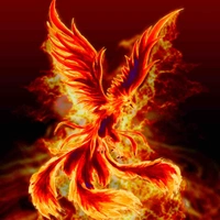 Phượng Hoàng ( tiểu hỏa )