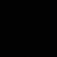 N/v phụ 