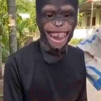 Cameraman trùm báo team