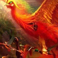 Phượng hoàng (tiểu Phượng)