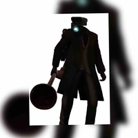 Camera plunger