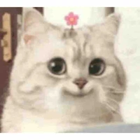 Tác giả qa là đẹp chai:)