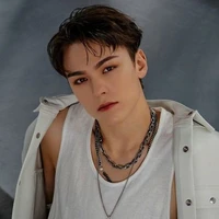 Hansol Vernon Chwe/Vernon