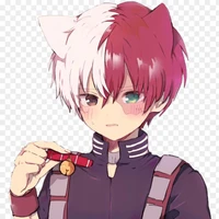 Todoroki Shoto