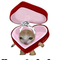 tác giả cuteooo:Đ