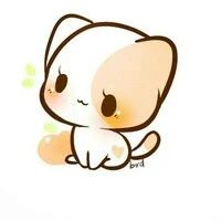 jin-hệ thống
