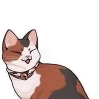 Bunny 《hệ thống 》