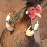 ng ngoài hành lang