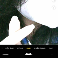Nguyễn Tả Nghi