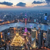 Tác Giả❤️💚💛🦁🐰🐢