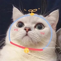 T/G cute đây