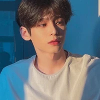 Trương Hồng Ảnh