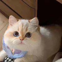 Lạc Chu