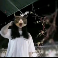 Thảo Vy