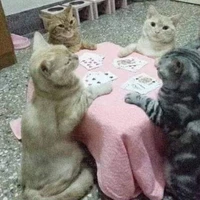 [Tứ]