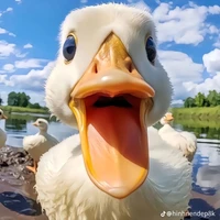 tác giả xinh đẹp, cute nhất truyện:>