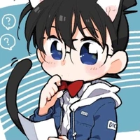Edogawa conan