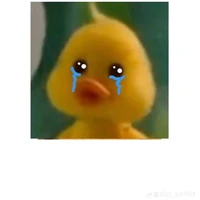 mấy ng hàng xóm:))