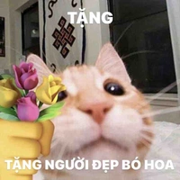 💐