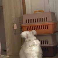 𝐡𝐚𝐫𝐮𝐧𝐞𝐞