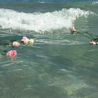 𝐬𝐞𝐢𝐬𝐮𝐮