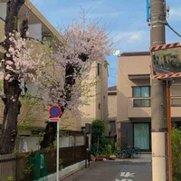 𝐭𝐚𝐤𝐞𝐜𝐜𝐜