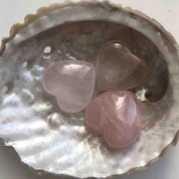 𝐬𝐬𝐡𝐢𝐧𝐧