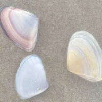 𝐭𝐚𝐜𝐡𝐢𝐛𝐚𝐧𝐧𝐚