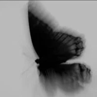 và lại là Xuu day:)