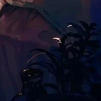 ???