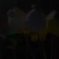 All