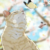 Hệ Thống meow