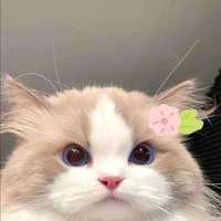 Tác giả