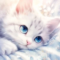 yuki