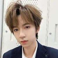 Hạ Tuấn Lâm