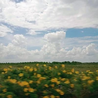 T/g siêu đẹp trai