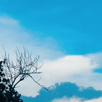 Dân làng