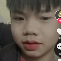 Tô hiếu