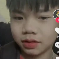 Tô hiếu