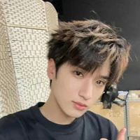 Nghiêm Hạo Tường