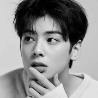 Cha Eun Woo