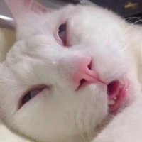 Thèm Lẩuuu