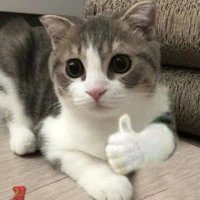 Tổng Hợp Tất Cả Nhân Vật Tốt Xấu Có Đủ