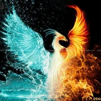 Lục Miên_Phượng hoàng loại biến dị