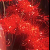 Đức và Kiệt